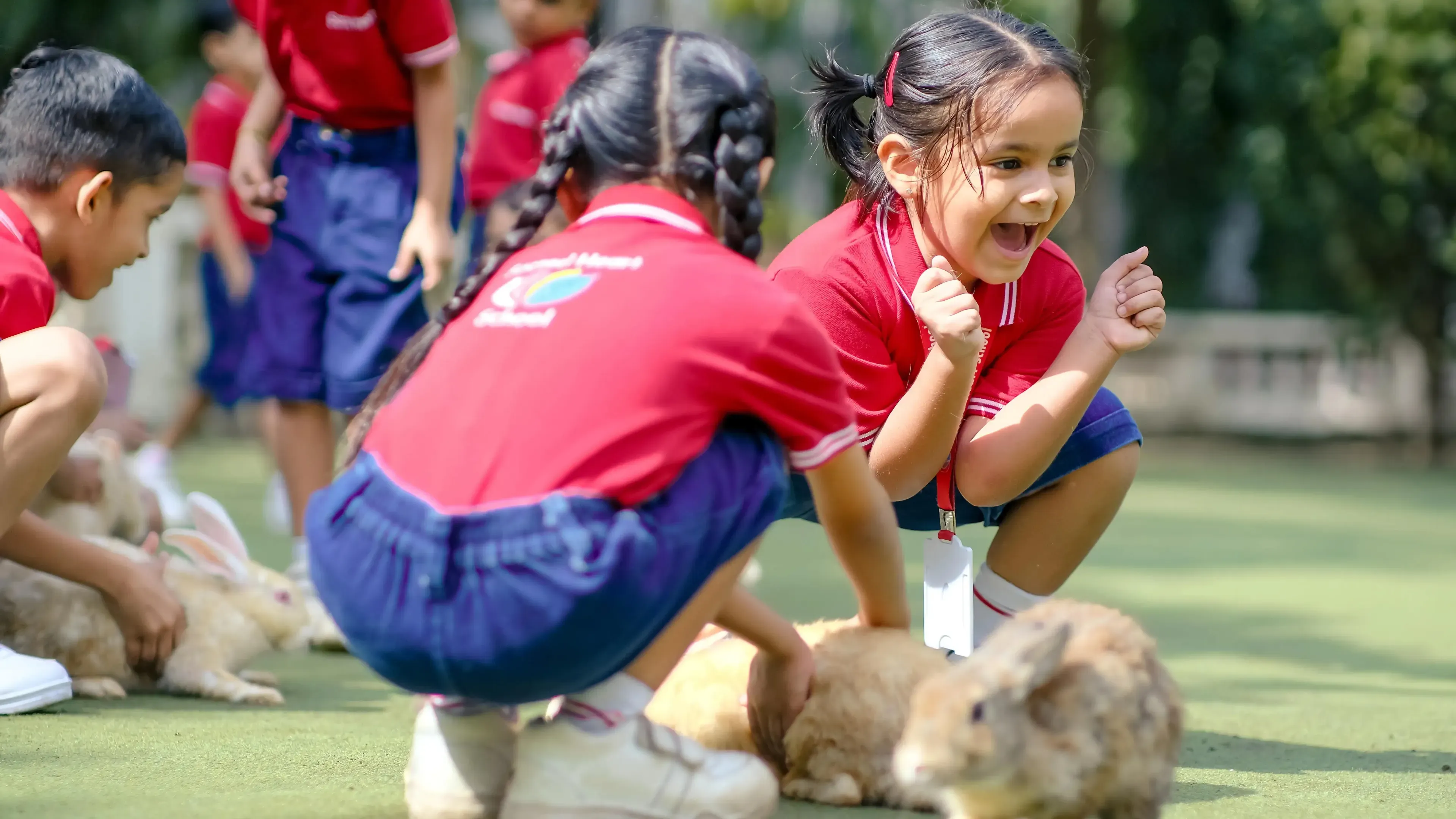 Pet Therapy at School