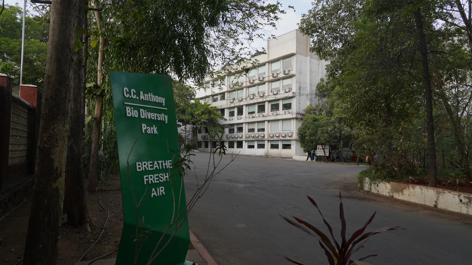 The C.C. Anthony Bio Diversity Park