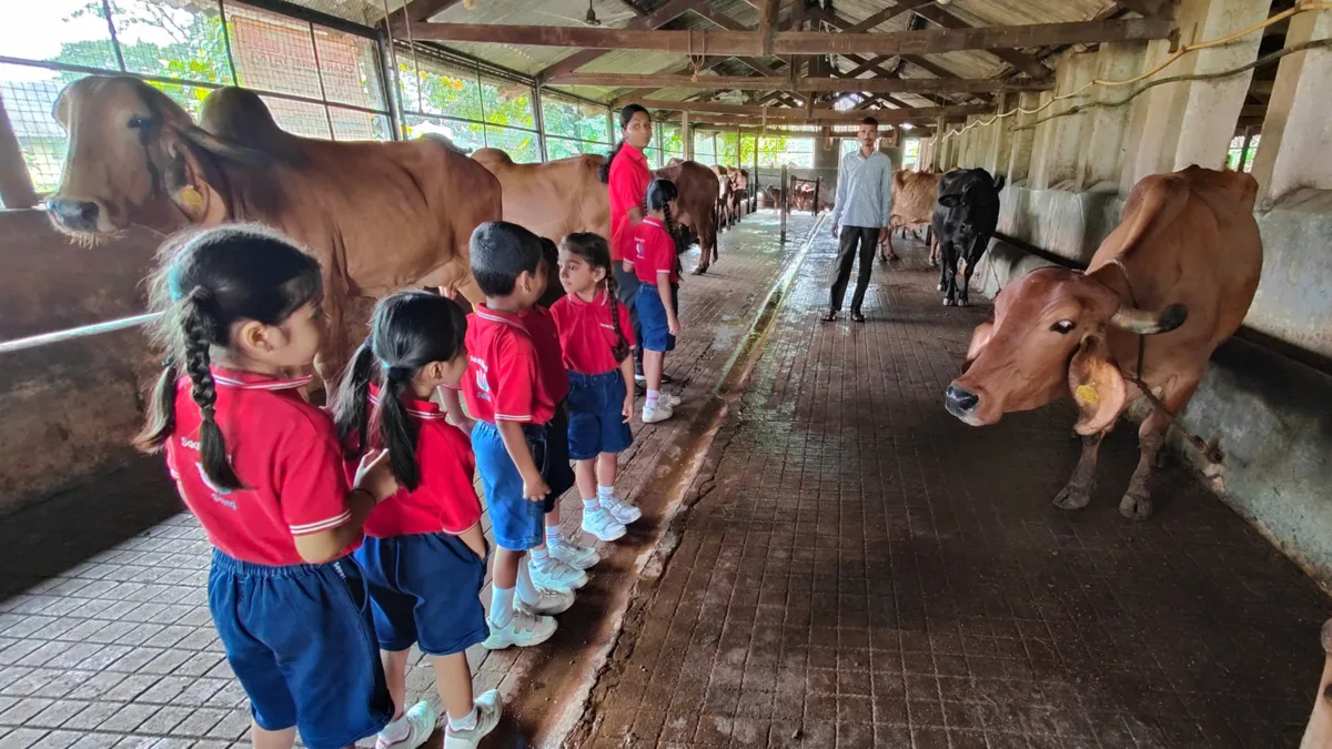Pre-Primary children visiting a gaushala (cow shelter)