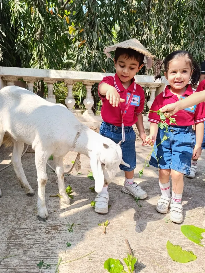 Two Pre-Primary children meeting a calf on a farm visit