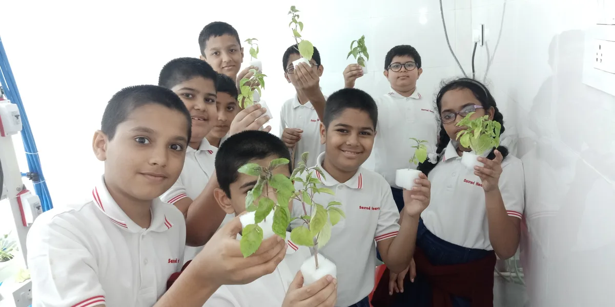 Hydroponics
