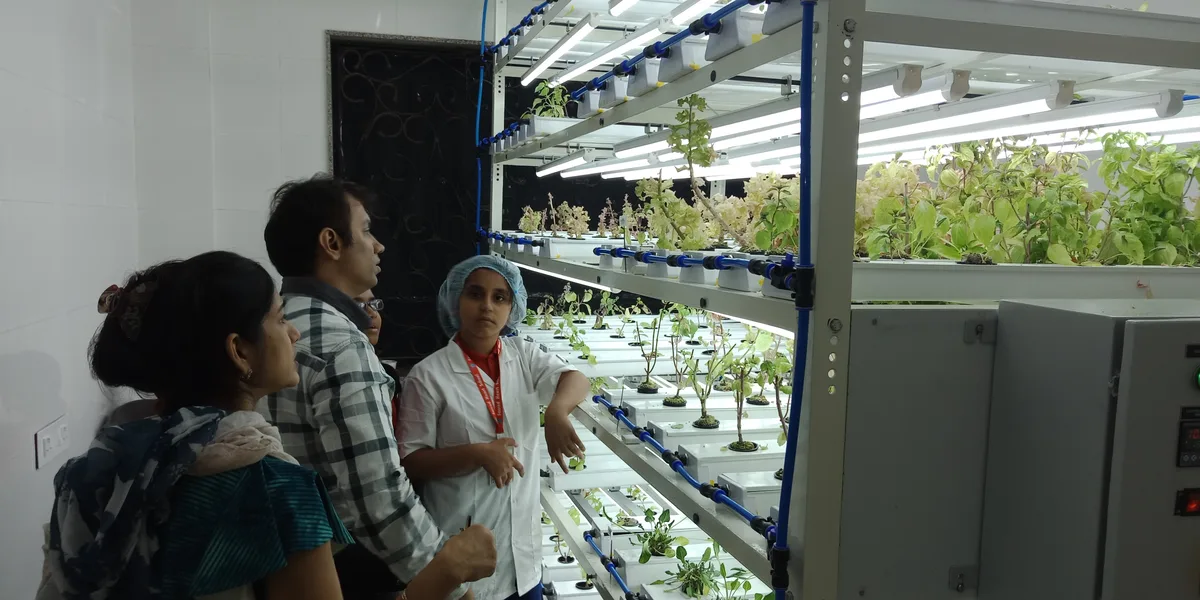 Hydroponics