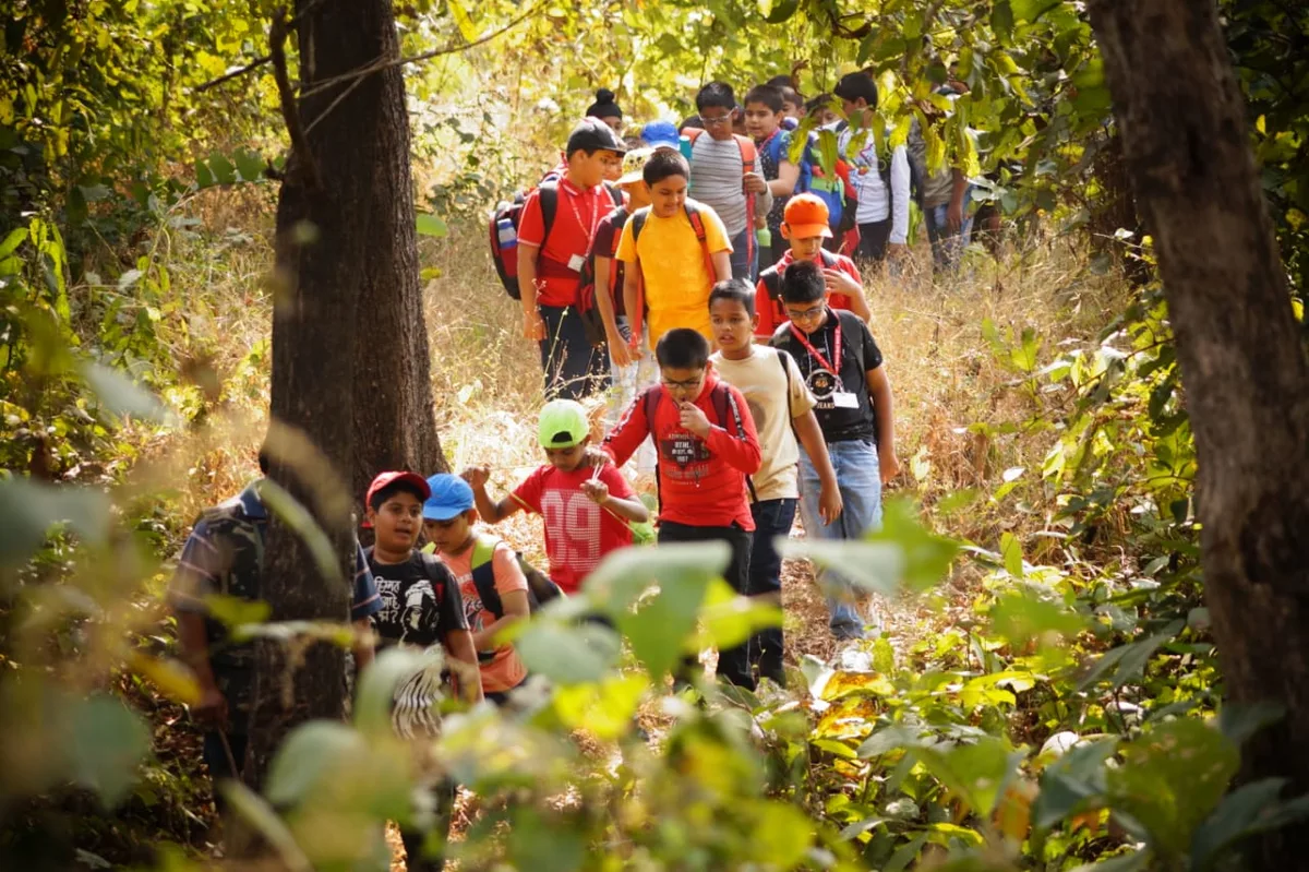 Forest Visit