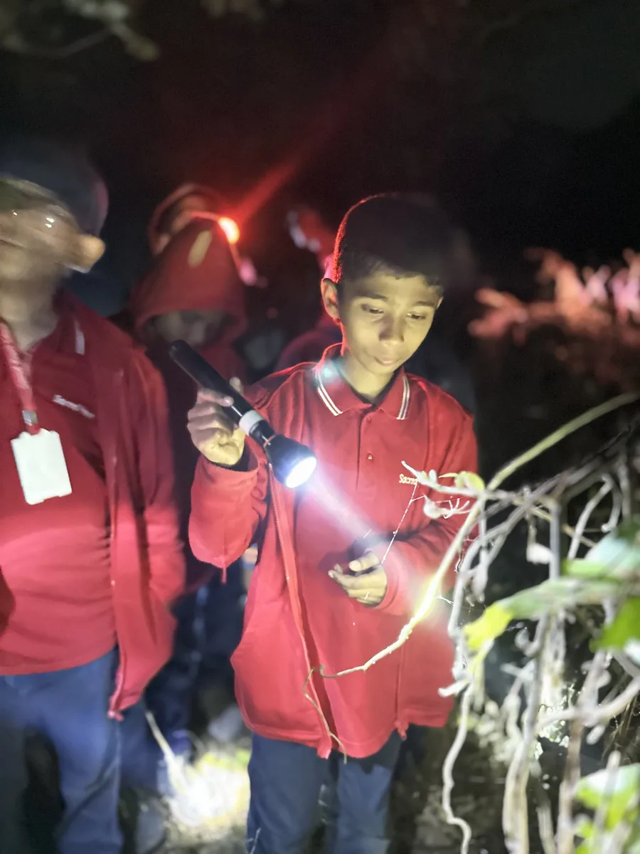 Exploring Wild &ndash; Night Camps