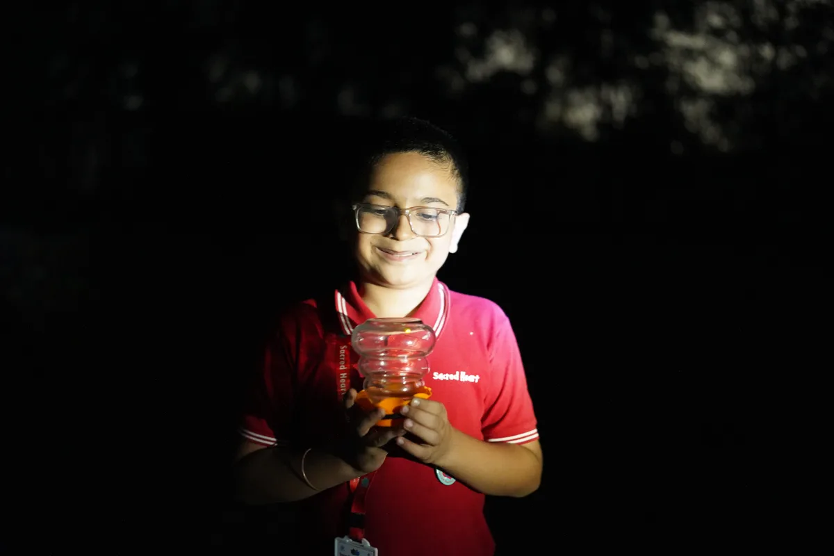 Exploring Wild &ndash; Night Camps