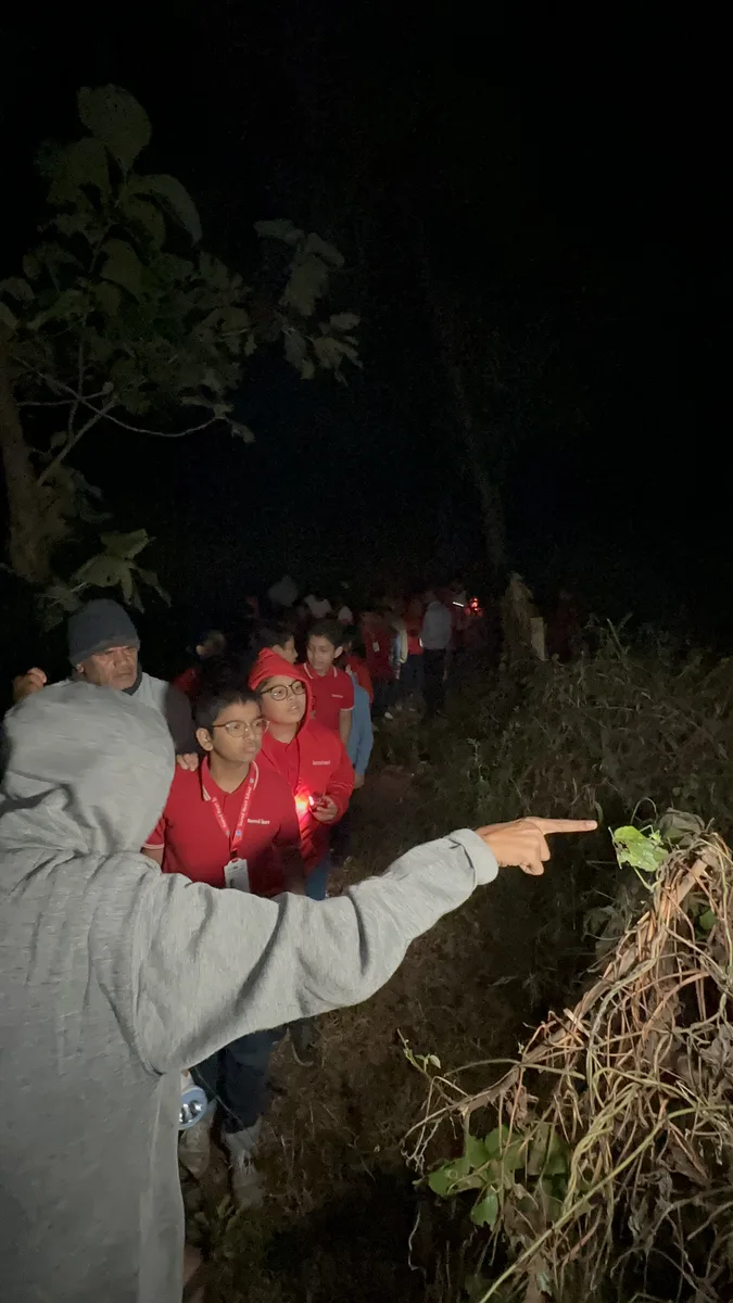 Exploring Wild &ndash; Night Camps